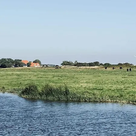 Pet-friendly Getaway, Cleaning Included * Callantsoog